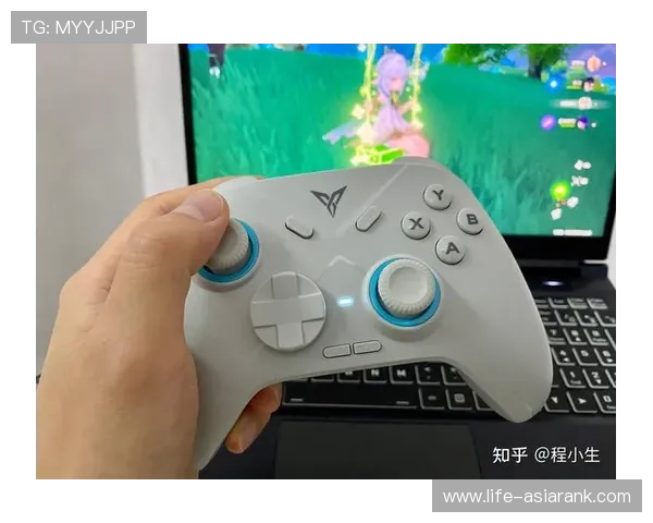 最新Steam游戏手柄设置全面指南提升游戏体验与操作精度